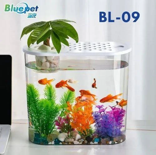 Fish Tanks & Bowls